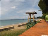 Playa de Rincón - RINCÓN